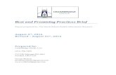 Revised2 CedarBridge Best and Promising Practices Brief ... · Matching Final Report and the Master Data Management Within HIE Infrastructures: A Focus on Master Patient Indexing