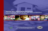Veteran Homelessness: A Supplemental Report to …...This Veteran Homelessness: A Supplemental Report to the 2010 Annual Homeless Assessment Report to Congress was developed by a team