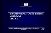 STATISTICAL HAND BOOK - Assam · Industrial Estates and other Infrastructure in Assam. Growth Centre and Industrial Growth Centre in Assam. Statistics on Industrial Disputes in Assam.