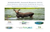 WildSafeBC New Denver Annual Report · Species reported to the COS and WARP in New Denver from January 1, 2016 to November 15, 2019. Black bears account for 70% of the reports (430