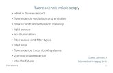fluorescence microscopy - University of Southampton · Fluorescence 1 fluorescence microscopy • what is fluorescence? • fluorescence excitation and emission • Stokes' shift