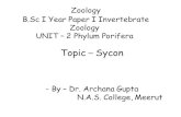 Topic Sycon cotent 10-4-20/DR ARCHNA GUPTA ZO… · 20/04/2010  · UNIT –2 Phylum Porifera Topic –Sycon - By –Dr. Archana Gupta ... Oscular frirge checks small animals form