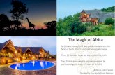 The Magic of Africa - New Directions Career Center€¦ · The Magic of Africa • Six (6) days and nights of luxury accommodations in the heart of South Africa's Zululand Conservation