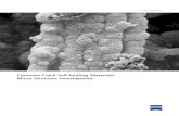 Concrete Crack Self-healing Materials Micro Structure ...€¦ · self-healing capacity of cementitious materials in order to create self-healing concrete. The concept of self-healing