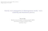 Gravity wave propagation in inhomogeneous media : wave ... · Gravity wave propagation in inhomogeneous media : wave scattering and interference process ... Significant weight at