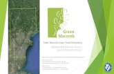 Implementing Macomb County’s Green Infrastructure Visiongreen.macombgov.org/sites/default/files/content/... · 2019. 12. 16. · Green Macomb Urban Forest Partnership Implementing
