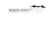 North africa/ Middle east509 n orth africa / Middle east annual report 2011 ill-treatment and torture (Bahrain, Egypt, Saudi Arabia, Syria, Tunisia) or recourse to special courts (Bahrain,