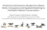 Predictive Distribution Models for Marsh Birds: Occupancy and … · 2020. 6. 26. · Predictive Distribution Models for Marsh Birds: Occupancy and Spatial Modeling to Facilitate