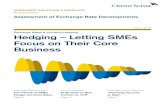 Exchange Rates & Currency Hedging Hedging – Letting SMEs ... · Currency Hedging by Sales Volume One in five SMEs stated that they do not undertake currency hedging on account of