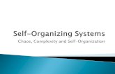 Chaos, Complexity and Self-Organization · In some cases the difference between good organization and bad organization is obvious. A “good organization” is a relative term, an