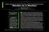 Skin Aging at the Functional Proteomics Level: Elastin as ... · Biotech Support Group LLC, Monmouth Junction, NJ USA Skin Aging at the Functional Proteomics Level: ... ABSTRACT Save