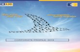 CORPORATE PROFILE 2019 - kailairajanck.comkailairajanck.com/fileman/Uploads/Images/profile_2019.pdf · 1 904 LIC's Jeevan Arogya 2 814 LIC's New Endowment Plan 3 817 LIC's Single
