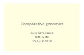 Comparative genomics - Cornell University...Comparative genomics Lucy Skrabanek ICB, WMC 15 April 2010 What does it encompass? • Genome conservation – transfer knowledge gained