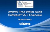 AWWA Free Water Audit Software v5.0 Overview...AWWA Free Water Audit Software© v5.0 Overview Brian Skeens . Georgia Water Loss Manual v1.0 – September 2011 v1.1 – January 2014