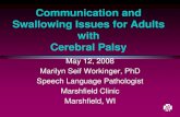 Communication and Swallowing Issues for Adults …...Communication and Swallowing Issues for Adults with Cerebral Palsy May 12, 2008 Marilyn Seif Workinger, PhD Speech Language Pathologist