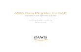 AWS Data Provider for SAP - Amazon S3 · Amazon Web Services – AWS Data Provider for SAP Page 1 Introduction Many organizations of all sizes are choosing to host key SAP systems