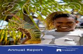 Annual Report - Torres Strait Island Region · works can be delivered ahead of schedule and considerably below market value. The Torres Strait Seawalls Evaluation Report (2018), commissioned