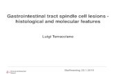 Gastrointestinal tract spindle cell lesions - …...2019/01/23  · Gastrointestinal tract spindle cell lesions - histological and molecular features Luigi Terracciano Staffmeeting