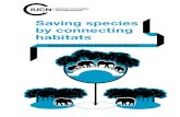 Saving species by connecting habitats · with food, fresh water, clean air, and many other assets that are generally referred to as ecosystem services. Saving species by connecting
