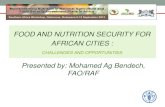 FOOD AND NUTRITION SECURITY FOR AFRICAN CITIES · strategy 61% 22% 11% Partially or totally dependent on livestock as an additional livelihood strategy 4% 14% 4% Partially or totally
