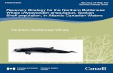 Northern bottlenose whale PROPOSED RS · Northern bottlenose whale Recovery Strategy [PROPOSED] October 2009 Recommended citation: Department of Fisheries and Oceans Canada. 2009.