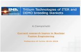 Tritium Technologies of ITER and DEMO breeding blankets · DEMO blanket Fuel Cycle HCLL blanket fuel cycle CPS P TEP ISS TEU Q 2 Pb-Li He + H 2 TRS He+Q 2 + imp. He + Q 2 VDS imp.