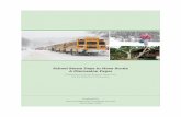 School Storm Days in Nova Scotia - A Discussion Paper · Gunn’s Leadership Consulting Services December, 2009 School Storm Days in Nova Scotia A Discussion Paper Prepared for the