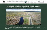 Ecological gains through EIA in Parks Canada · Rationale for the locations of amphibians/wildlife crossings Three criterias to consider • Amphibians hot spots (numbers on the map)