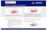 Pelvic Organ Prolapse - Evolve Women's Health …...separating the prolapsed organ from the vaginal wall and using stitches to suspend the uterus or top of vagina and repair the vaginal