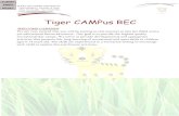 Tiger CAMPus RECcampusrec.tsu.edu/wp-content/uploads/summer-youth-camp...TIGER CAMPus REC SUMMER DAY CAMP 2018 NEW CAMPER REGISTRATION PACKET TEXAS SOUTHERN UNIVERSITY ~ 3 ~ 3100 CLEBURNE