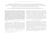 Journal of Medical and Bioengineering Vol. 4, No. 6 ... · Antioxidant Activity of the Sea Bird Nest (Eucheuma Cottonii) and Its Radical Scavenging Effect on Human Keratinocytes .