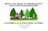 WHAT YOU NEED TO KNOW ABOUT RACCOON ROUNDWORMS · Disposable rubber or latex gloves Disposable or washable coveralls Rubber boots NIOSH-Approved Disposable Particulate Respirator