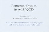 Pomeron physics in AdS/QCD - University of Chicagohamilton.uchicago.edu/~harvey/talks/Pomeron_physics.pdf · stepchild in the second marriage of string theory and QCD. Tullio Regge