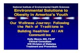 National Institute of Environmental Health Sciences ... · Special Diabetes Program for Indians. Activities for Obesity Prevention. 2004 % Source: IHS DDTP SDPI Evaluation, 2004.