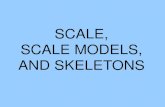 SCALE, SCALE MODELS, AND SKELETONS · SCALE, SCALE MODELS, AND SKELETONS . SCALE: a comparison of distances on a map to distances on the earth METHODS OF PORTRAYING SCALE ON A MAP: