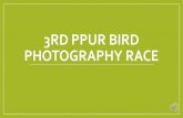 3rd ppur bird photography race - PCSD PKP/3rd ppur...•Champion - Frugal Birders with 1,567 points •First Place –Team Mulawin with 1,462 points •Second Place –Team Fine Feathered