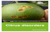 Citrus disorders - Plantwise · Front cover: Hilda Gomez, USDA . CITRUS 3 Contents Sign or symptom Box Insects 1 – 52 Leaf 53 – 72 Edible portion 73 – 99 Stem 100 – 105 Root