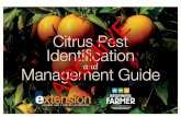 Citrus Pest Identification Management Guide ARCHIVE and · Hilda Gomez, USDA, idtools.org The most characteristic symptom of HLB is blotchy mottling that appears asymmetrically on