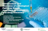 Introduction and Overview of a Biological Pathway …...Introduction and Overview of a Biological Pathway-Based Approach to Disease and Drug Discovery Catherine Willett Coordinator,