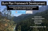 Burn Plan Framework Development - cif-ifc.org · • Dey, D.C. and Guyette, R.P. (2000) Anthropogenic fire history and red oak forests in south-central Ontario. Forestry Chronicle