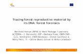 Tracing forest reproductive material by its DNA: forest ... conference/Presentations/Sessio… · Trees4Future Training Session in March-April 2016 "Development of SNP markers using