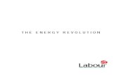 THE ENERGY REVOLUTION - Labour Party · Ireland has an abundance of wind and wave energy. Geothermal energy is still under exploited as is the scope for more afforestation. Our people