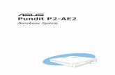 Pundit P2-AE2 P2-AE2/e2077… · viii About this guide Audience This guide provides general information and installation instructions about the ASUS barebone system. This guide is