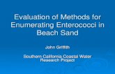 Evaluation of Methods for Enumerating Enterococci in Beach Sand · 3 10 4 g Sand 1 Sand 2 Sand 3 DohenyDoheny Miami Michigan City Results Blending produced lower numbers than sonication