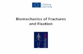 Biomechanics of Fractures and Fixationtelearn.tu-sofia.bg/OrthoBioMed/results/2/Biomechanics ORTHOBIO… · Basic Biomechanics. Common Materials in Orthopaedics • Elastic Modulus
