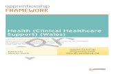Health (Clinical Healthcare Support) (Wales)€¦ · N/A Knowledge qualifications available to this pathway: N/A Combined qualifications available to this pathway: Qualification C: