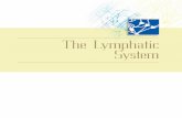 The Lymphatic Systemibtlumhs.weebly.com/uploads/1/1/5/6/11564445/chapter_no_10.pdf · ined, including the face, scalp, tongue, mouth, tonsil, and pharynx. Carcinoma Metastases in