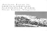 Ancient Lavas in SHENANDOAH NATIONAL PARK · 2012. 3. 6. · Shenandoah National Park boundary Figure 2. Geologic map of the Catoctin Mountain-Blue Ridge anticlinorium in Virginia.
