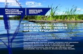Freshwater lakes around the world are in trouble. · lakes around the world. Harnessing the natural ability of plants and microbes to absorb nutrients (such as phosphorus and nitrogen)