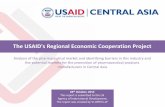 The USAID's Regional Economic Cooperation Project · This report is submitted to the US Agency of International Development. The report was created by VI-ORTIS LLP The USAID's Regional